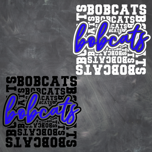BC Class of 2028-007