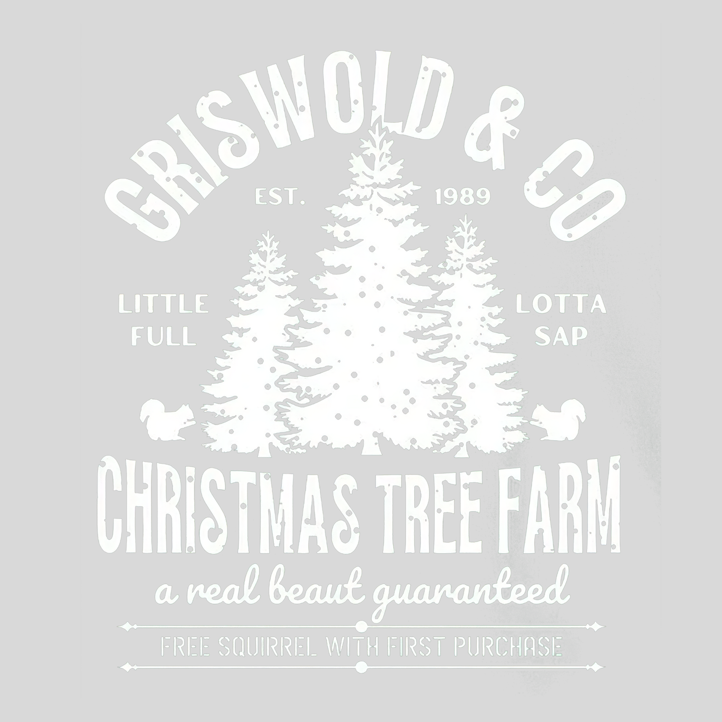 Griswold Christmas-013